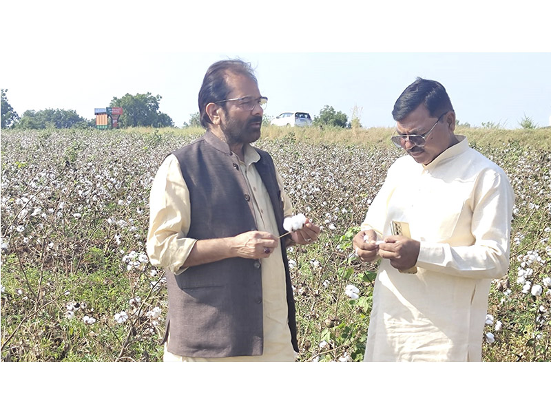 Election Rallies Gallery